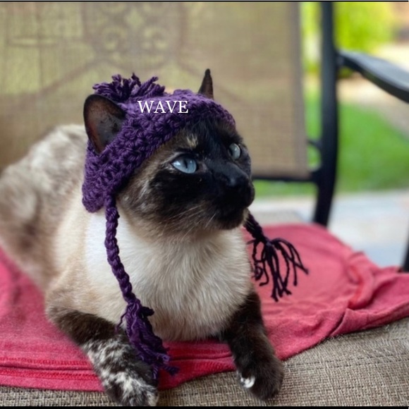 🐈‍⬛🐈😻matching beanie for your cat😽😸pom&braids - Picture 1 of 12